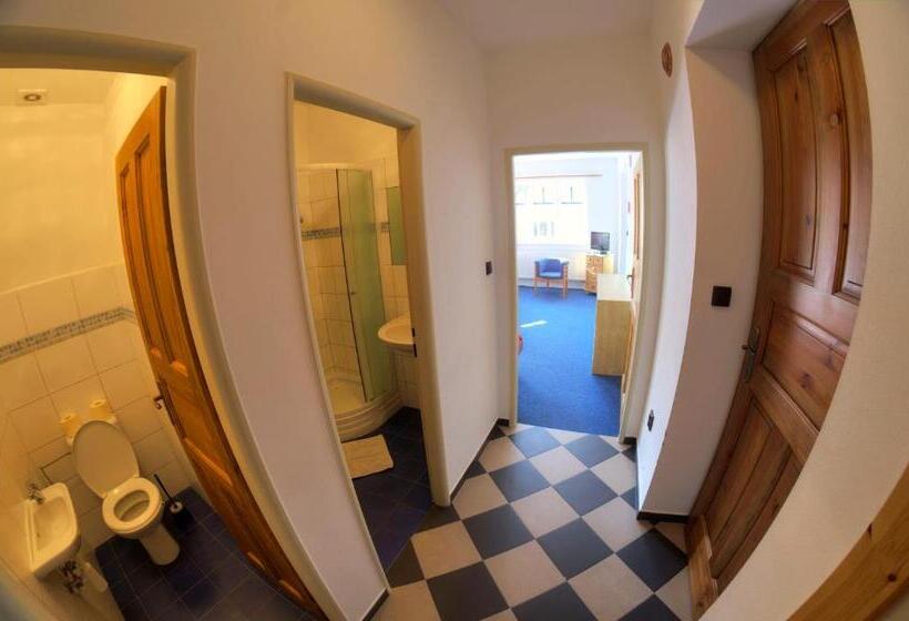 1ベッドルームアパートメント, Penzion Novopacké Sklepy