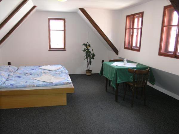 4ベッドルームハウス, Penzion Novopacké Sklepy