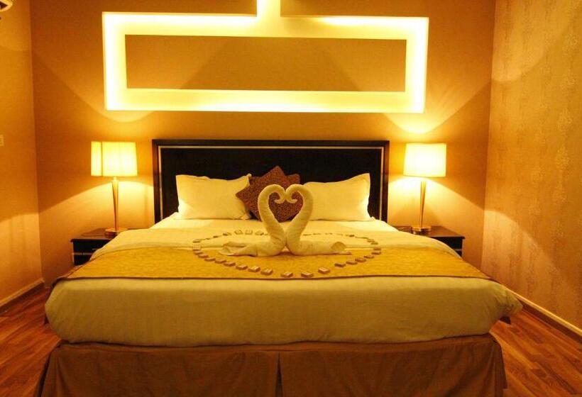 شقة غرفة واحدة, Vision Apartment