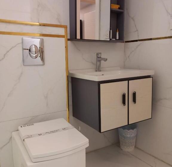 شقة غرفة واحدة, Vision Apartment