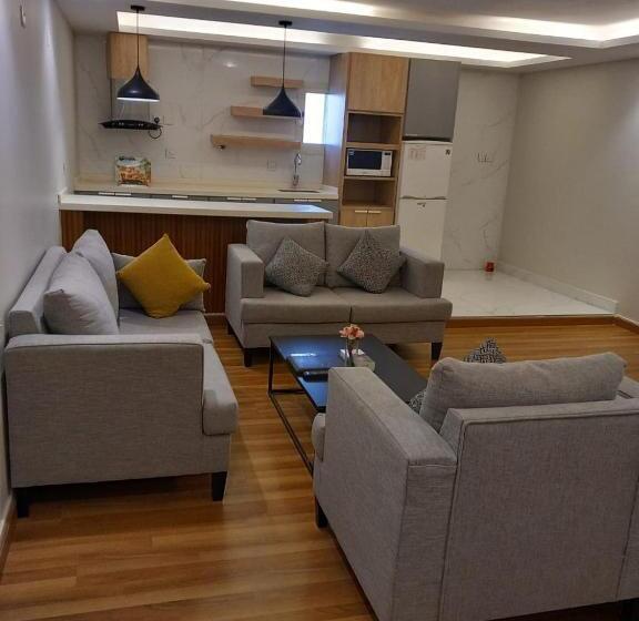 شقة غرفتين, Vision Apartment