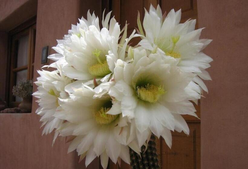 חדר סטנדרט, Hosteria La Morada