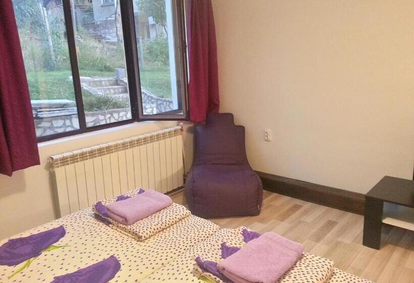 إستديو قياسى مطل على حمام السباحة, Guest House Bedrock