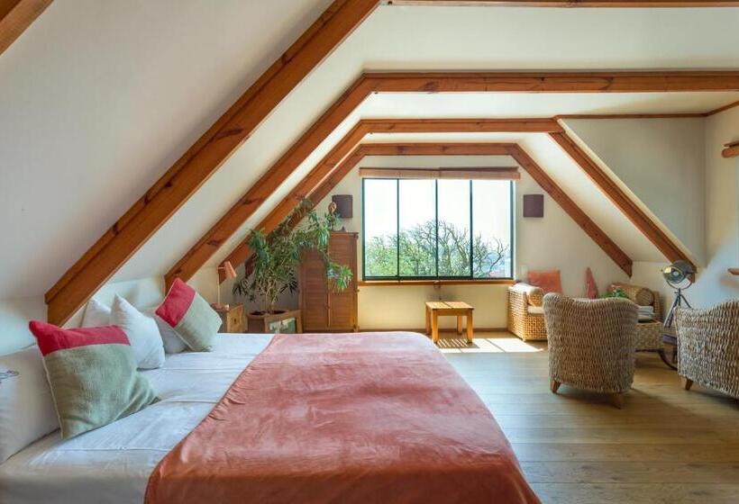 带观景的标准间, Lézard Bleu Guest House