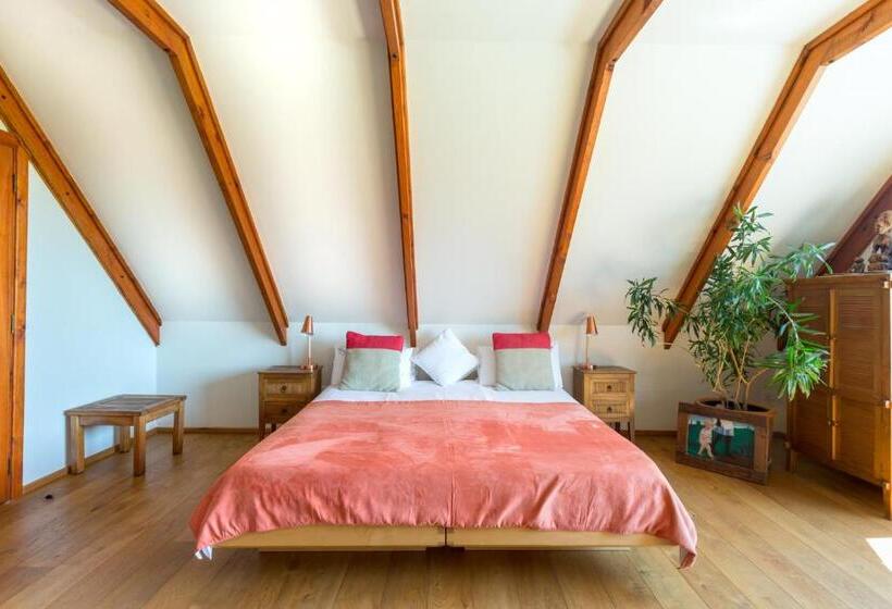 带观景的标准间, Lézard Bleu Guest House