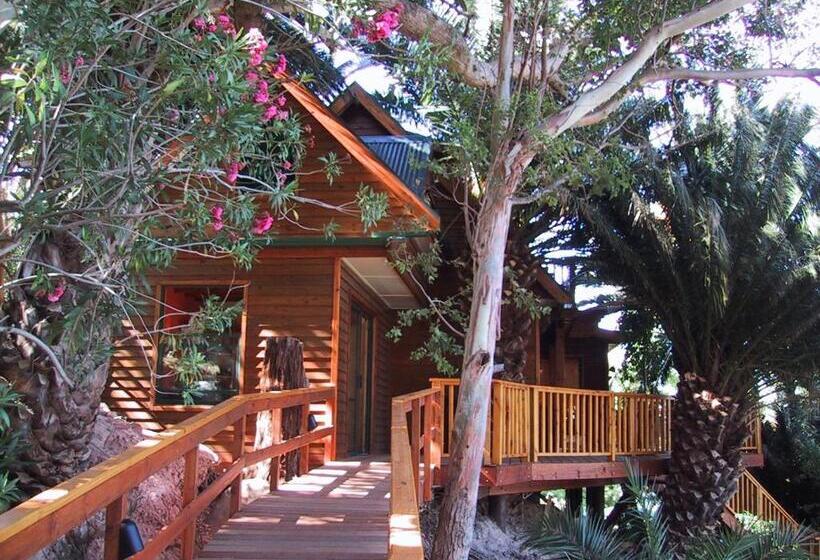 带观景的标准间, Lézard Bleu Guest House