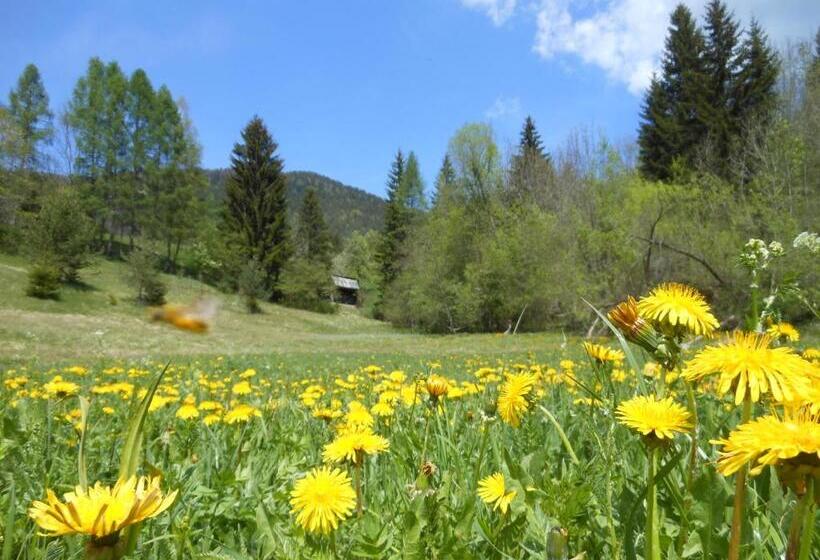 استودیو استاندارد با تخت کینگ, T E M P F E R 2 Apartments & Rooms With New Wellness