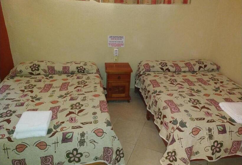 스탠다드 룸, Y Bungalows Olivares