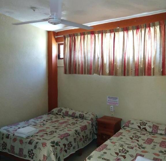 4인용 스탠다드 룸, Y Bungalows Olivares