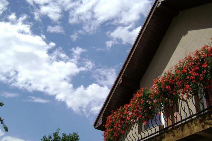 חדר סטנדרט לארבעה, Pension Miorita