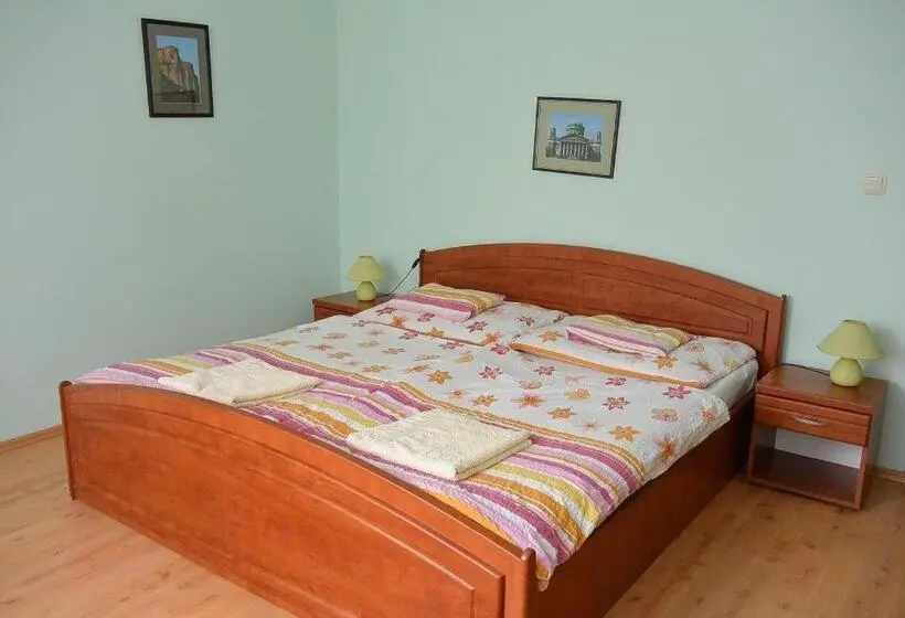 اتاق اکونومی, Sasi Panzió 2