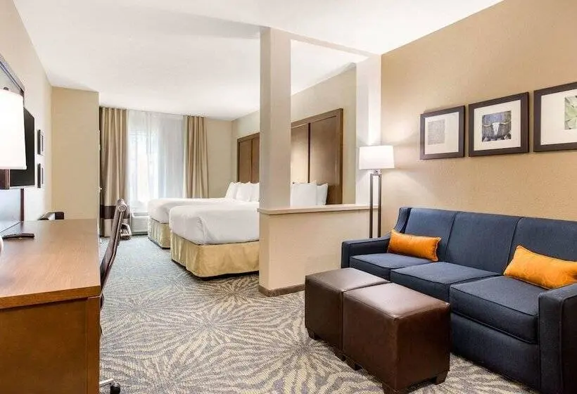 身障者適用スイートルーム, Comfort Suites  South Austin