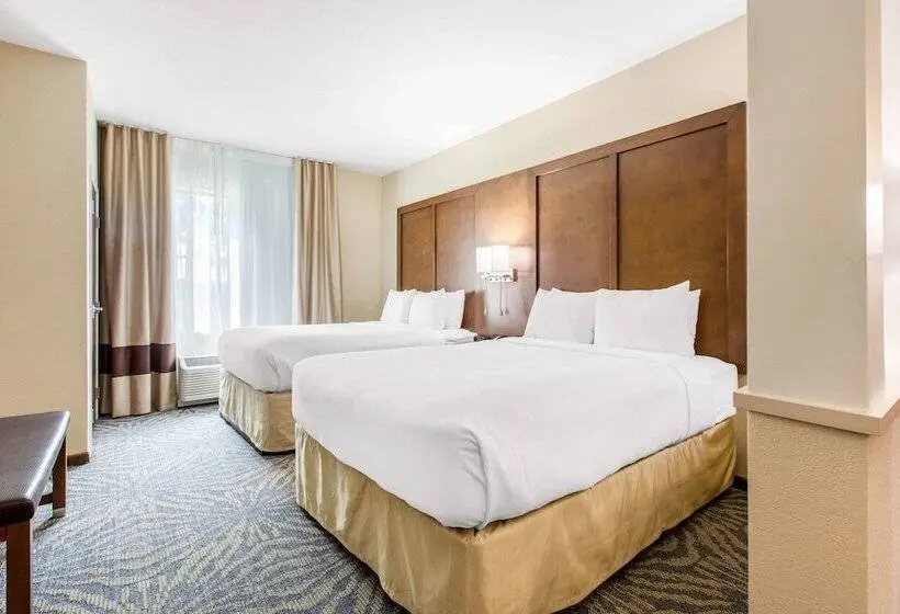 身障者適用スイートルーム, Comfort Suites  South Austin