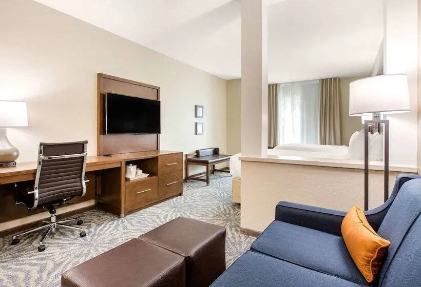 身障者適用スイートルーム, Comfort Suites  South Austin