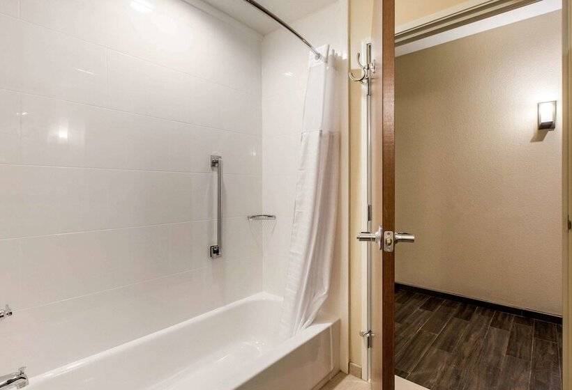 סוויטה מותאמת לאדם עם מוגבלויות, Comfort Suites  South Austin