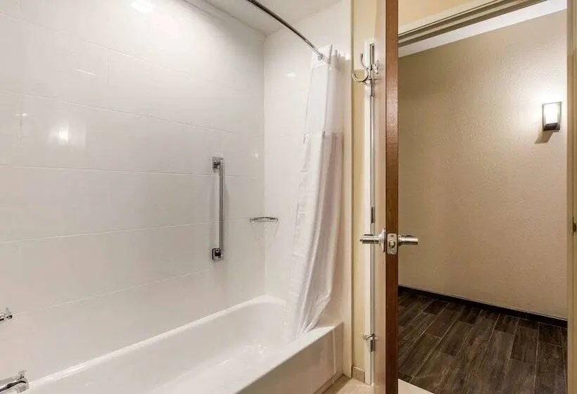 身障者適用スイートルーム, Comfort Suites  South Austin