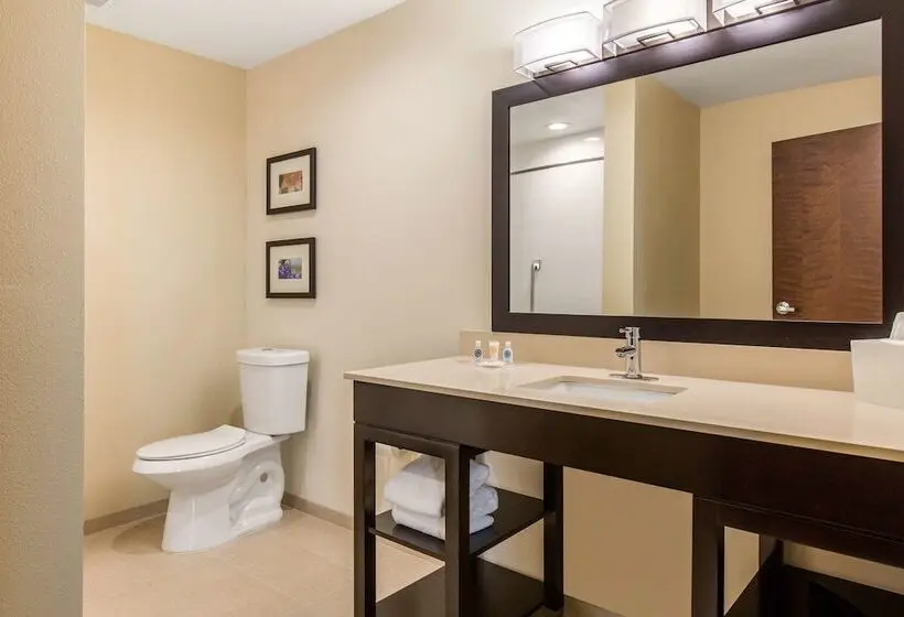 身障者適用スイートルーム, Comfort Suites  South Austin