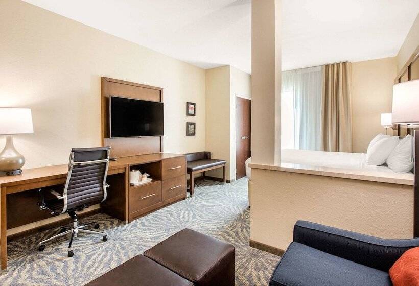 スイート, Comfort Suites  South Austin