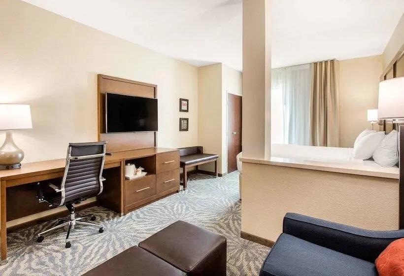 スイート, Comfort Suites  South Austin