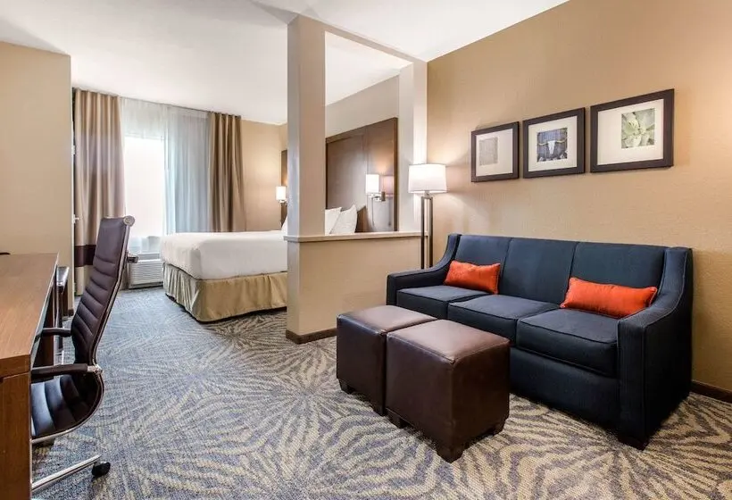 スイート, Comfort Suites  South Austin