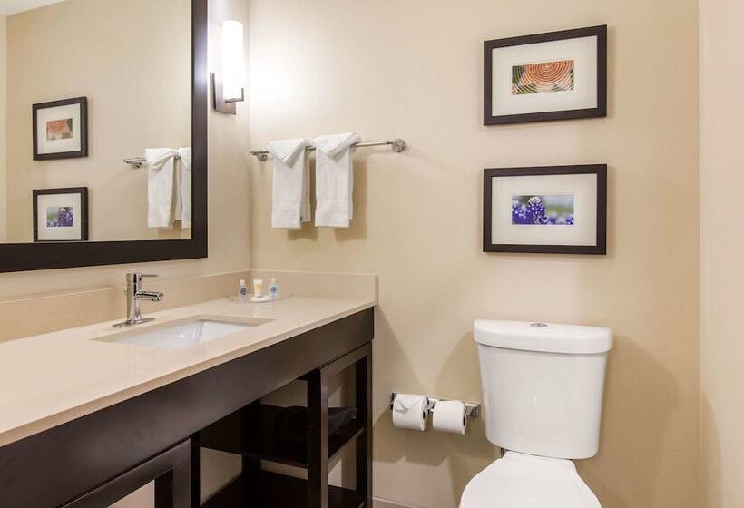 סוויטה, Comfort Suites  South Austin