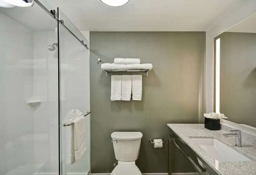 اتاق استاندارد با تخت بزرگ, Hilton Garden Inn Sacramento Airport Natomas