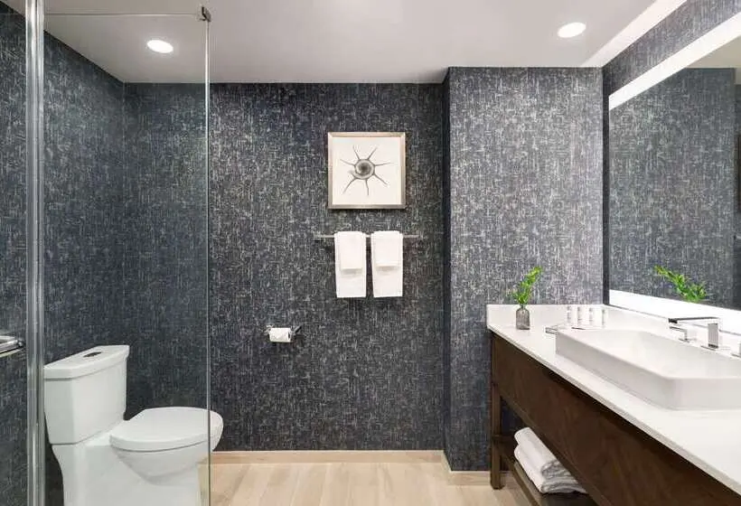 اتاق استاندارد با تخت بزرگ, Hilton Garden Inn Sacramento Airport Natomas