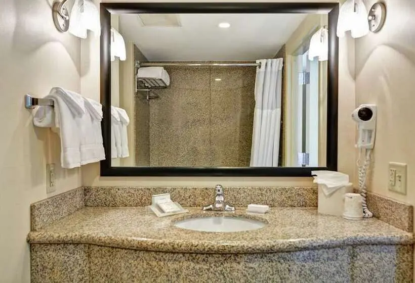 اتاق استاندارد با تخت بزرگ, Hilton Garden Inn Sacramento Airport Natomas