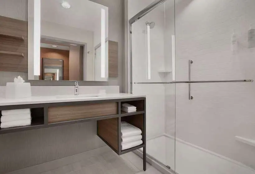 اتاق استاندارد با تخت بزرگ, Hilton Garden Inn Sacramento Airport Natomas