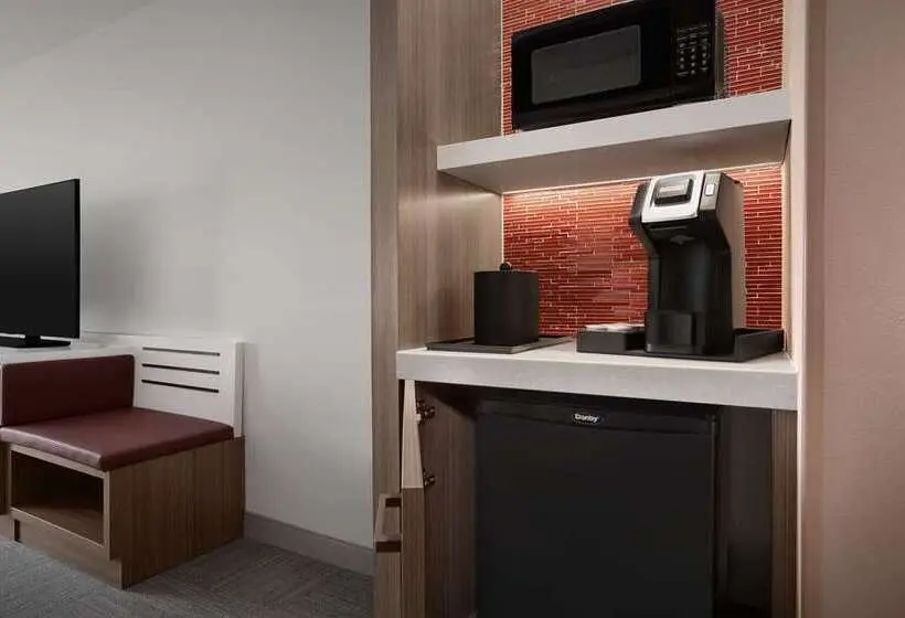 اتاق استاندارد با تخت بزرگ, Hilton Garden Inn Sacramento Airport Natomas