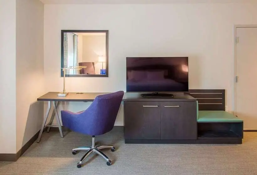 اتاق استاندارد با تخت بزرگ برای معلولان, Hilton Garden Inn Sacramento Airport Natomas