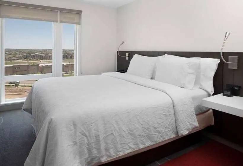 اتاق استاندارد, Hilton Garden Inn Sacramento Airport Natomas