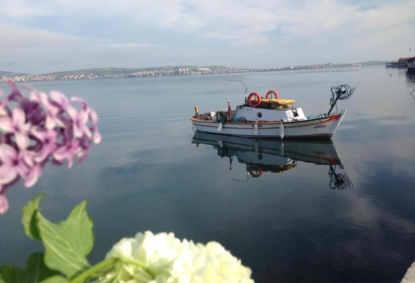 חדר סופריור, Macaron Konagi