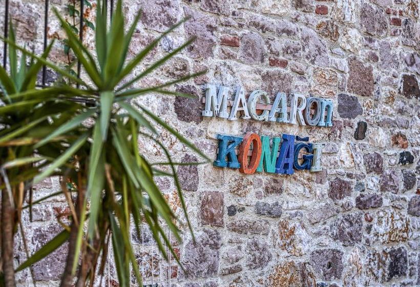 חדר סטנדרט יחיד, Macaron Konagi