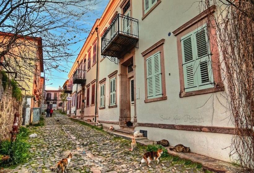 חדר סופריור, Macaron Konagi