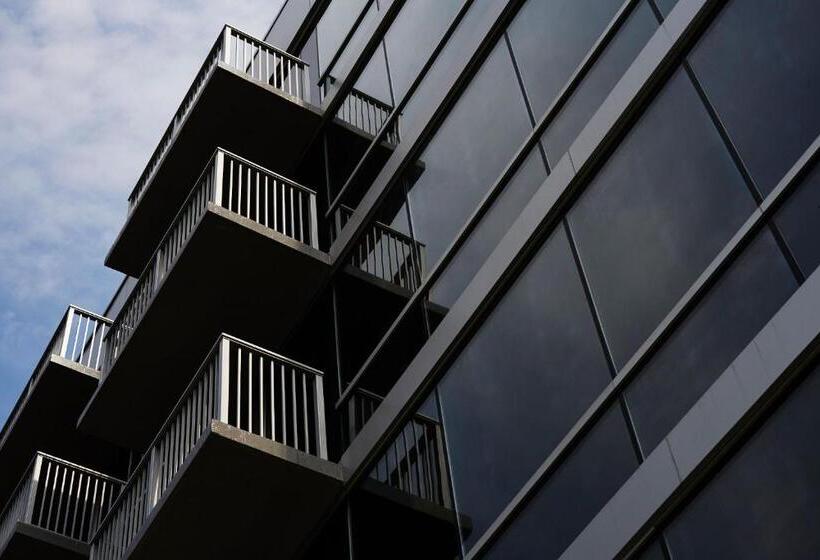 استودیوی استاندارد, Park Ave