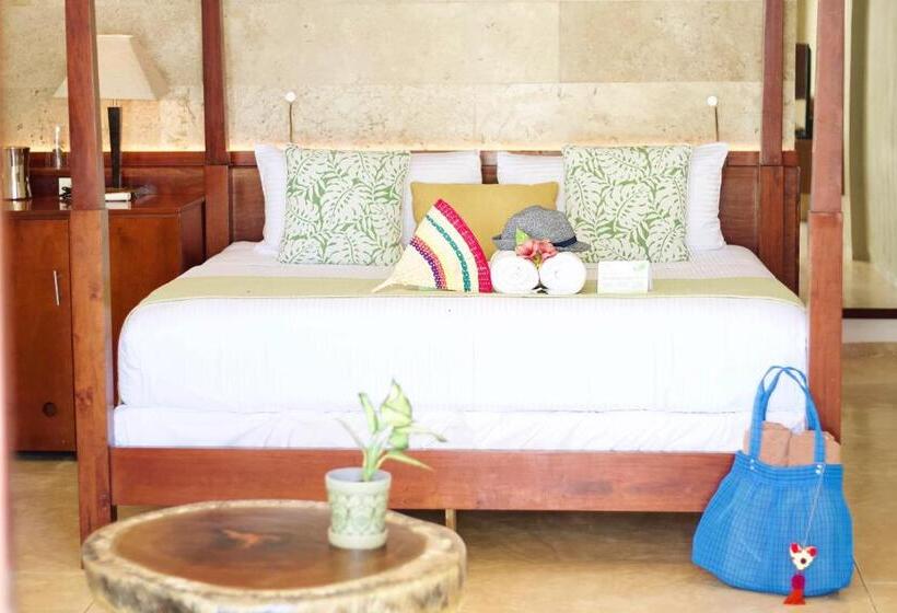 带大床的套房, Villas Caracol