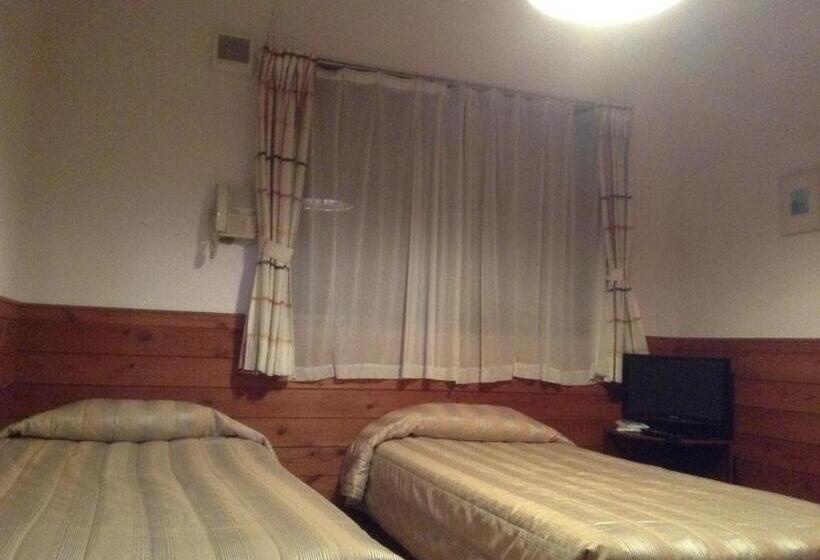 غرفة قياسية, Pension Niimi