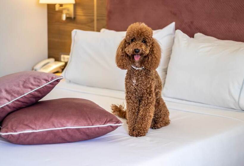 프리미엄 룸 풀장 전망, Serenity Suites