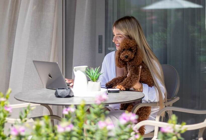 Люкс Повышенной Комфортности, Serenity Suites