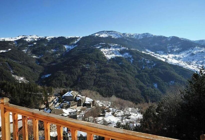 غرفة أساسية, Anax