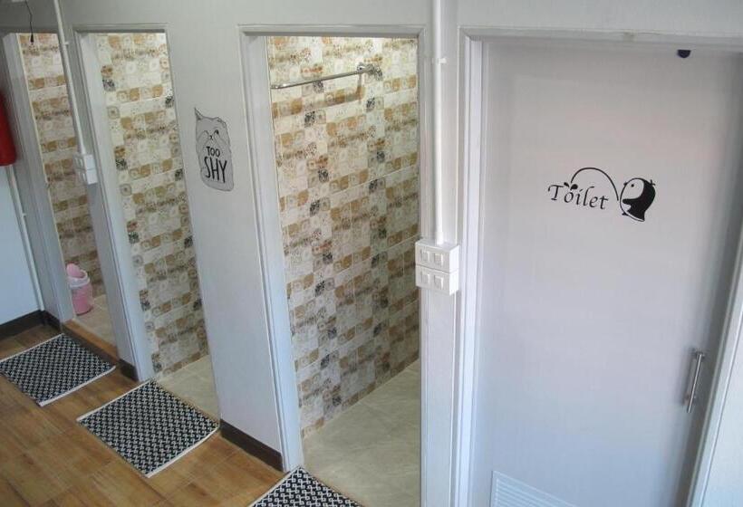 标准工作室, Stay In Chiangrai