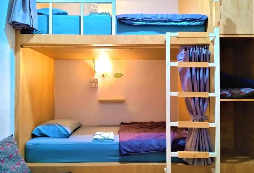 标准工作室, Stay In Chiangrai