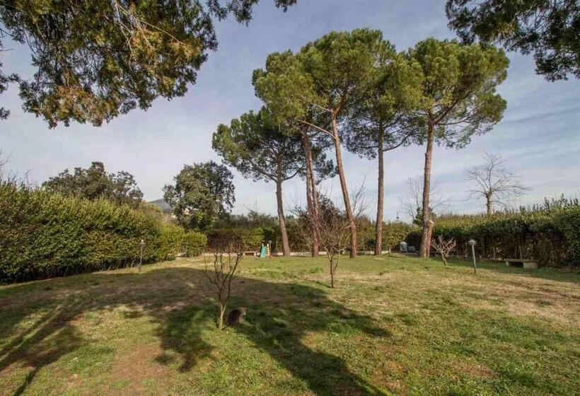 בית, 4 חדרי שינה, B&b Palazzi