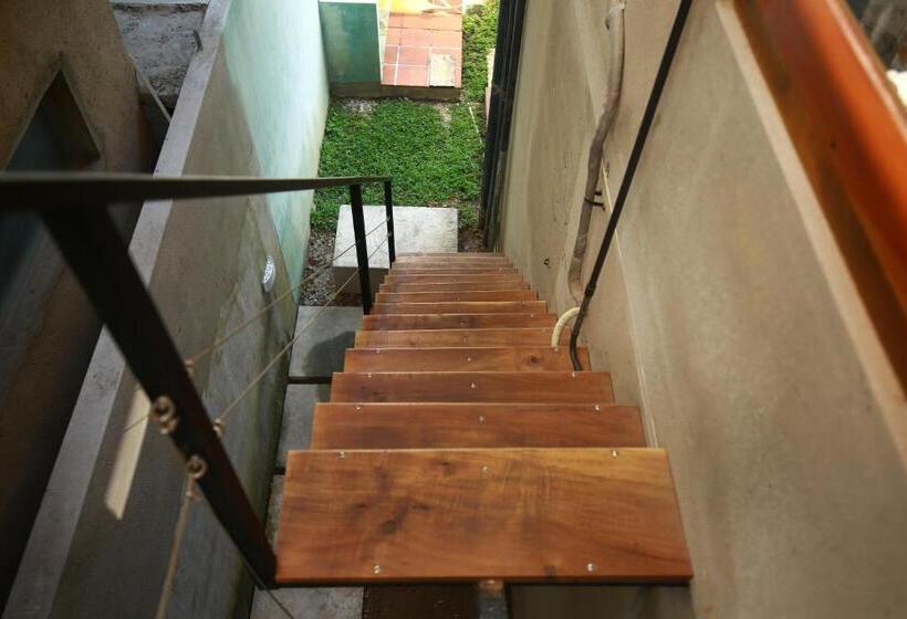 Номер Superior, Temple Tree