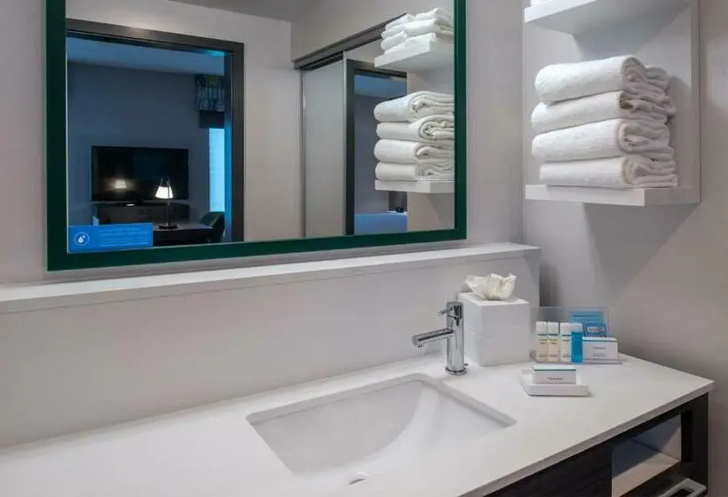 استودیو استاندارد با تخت کینگ, Hampton Inn & Suites Winstonsalem Downtown