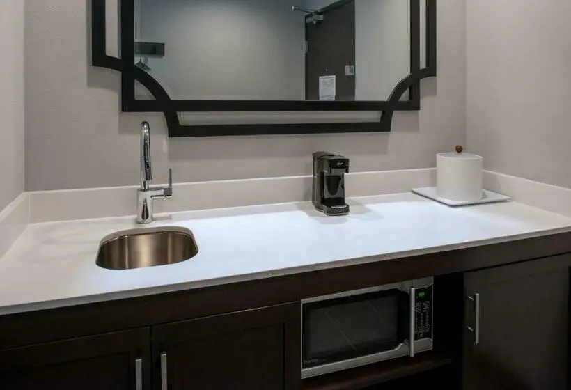 استودیو استاندارد با تخت کینگ, Hampton Inn & Suites Winstonsalem Downtown