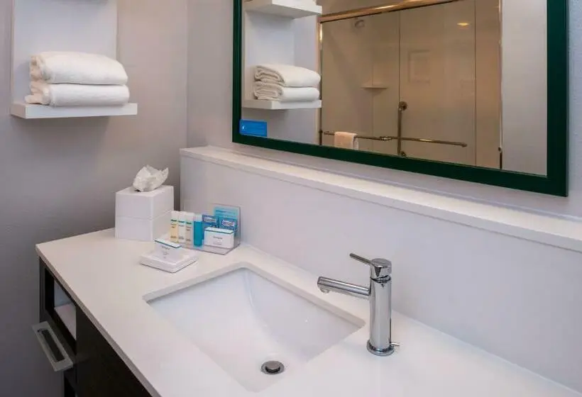 اتاق استاندارد با تخت بزرگ, Hampton Inn & Suites Winstonsalem Downtown