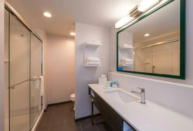 اتاق استاندارد با تخت بزرگ, Hampton Inn & Suites Winstonsalem Downtown