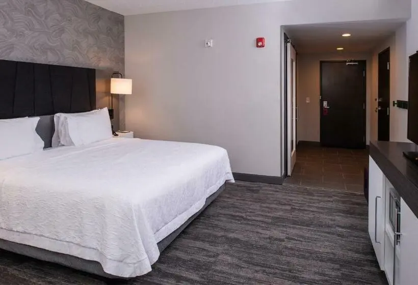 اتاق استاندارد با تخت بزرگ برای معلولان, Hampton Inn & Suites Winstonsalem Downtown